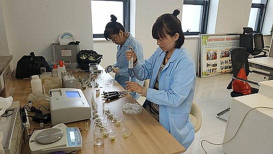 20190131t8jk11i3a6.jpg 20190131t8jk11i3a6.jpg