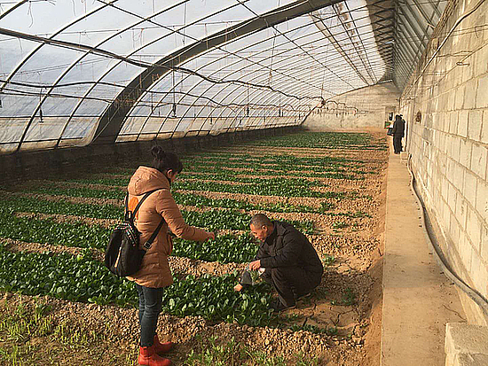 20190131hj87ck62a5.jpg 20190131hj87ck62a5.jpg