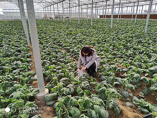 2019013124mj4ivlvx.jpg 2019013124mj4ivlvx.jpg