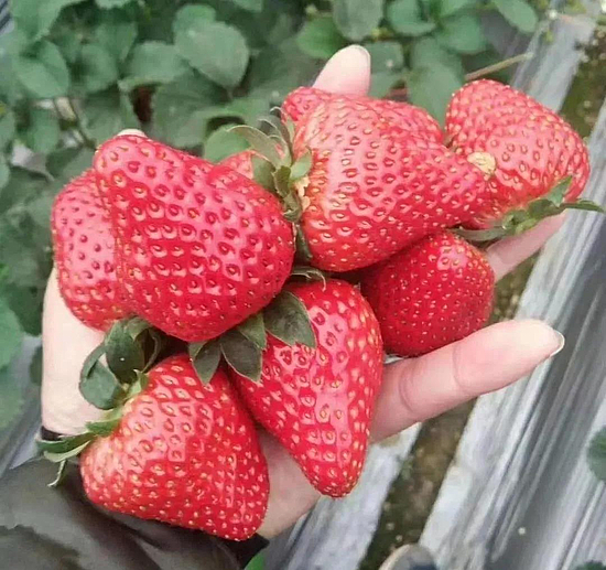 微信图片_20191219101744.jpg 微信图片_20191219101744.jpg