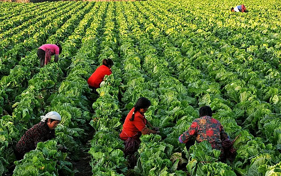 微信图片_20191219101827.jpg 微信图片_20191219101827.jpg