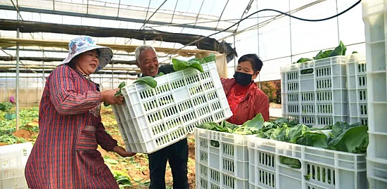 微信图片_20200509115844.jpg 微信图片_20200509115844.jpg