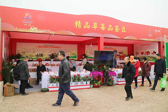 微信图片_20190312101544.jpg 微信图片_20190312101544.jpg