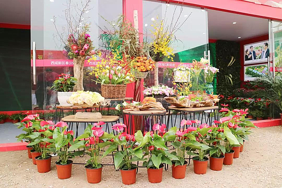 微信图片_20190312101509.jpg 微信图片_20190312101509.jpg