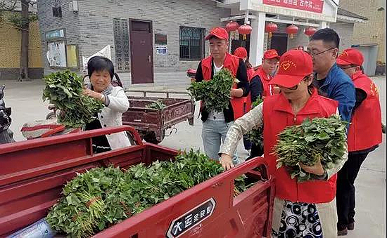 微信图片_20191114163241.jpg 微信图片_20191114163241.jpg