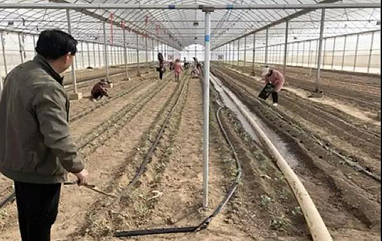 微信图片_20191114163234.jpg 微信图片_20191114163234.jpg