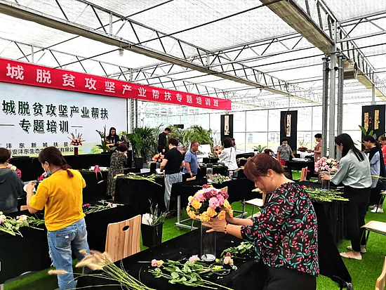 20201113_104927_110.jpg 20201113_104927_110.jpg