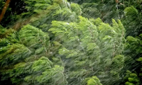 西安市气象台发布雷雨大风黄色预警